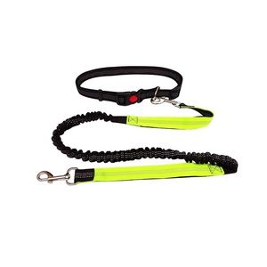 Hands free dog leash adjustable waist belt - green